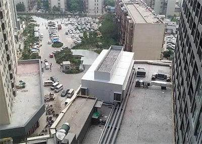 香港马料大全
